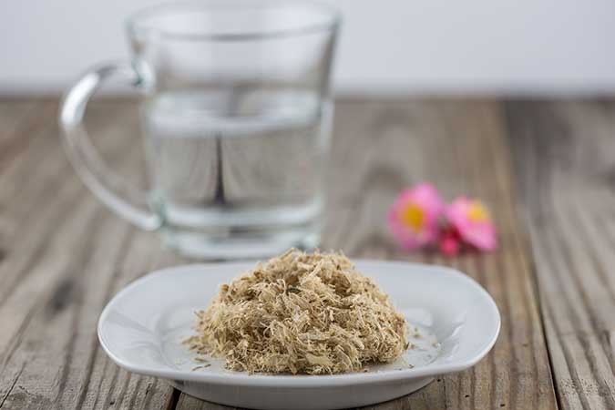 Slippery Elm