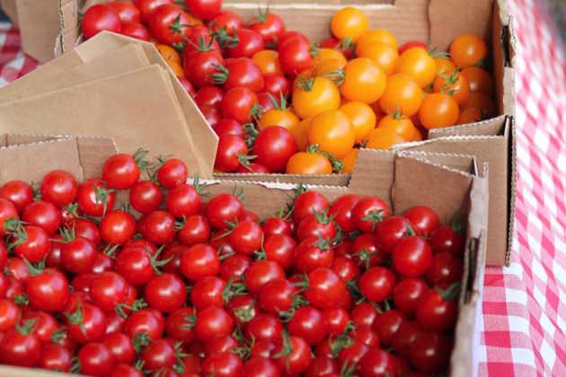 Tomatoes