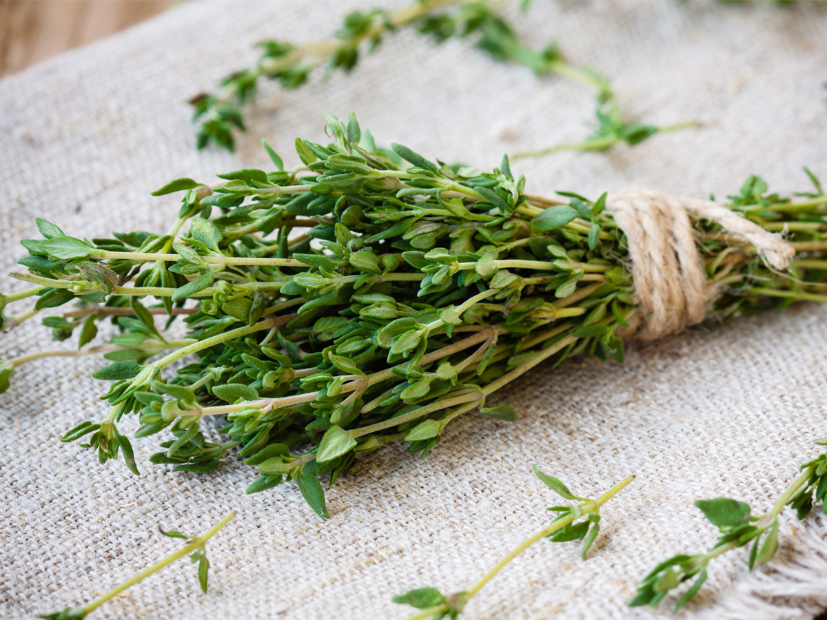 Thyme