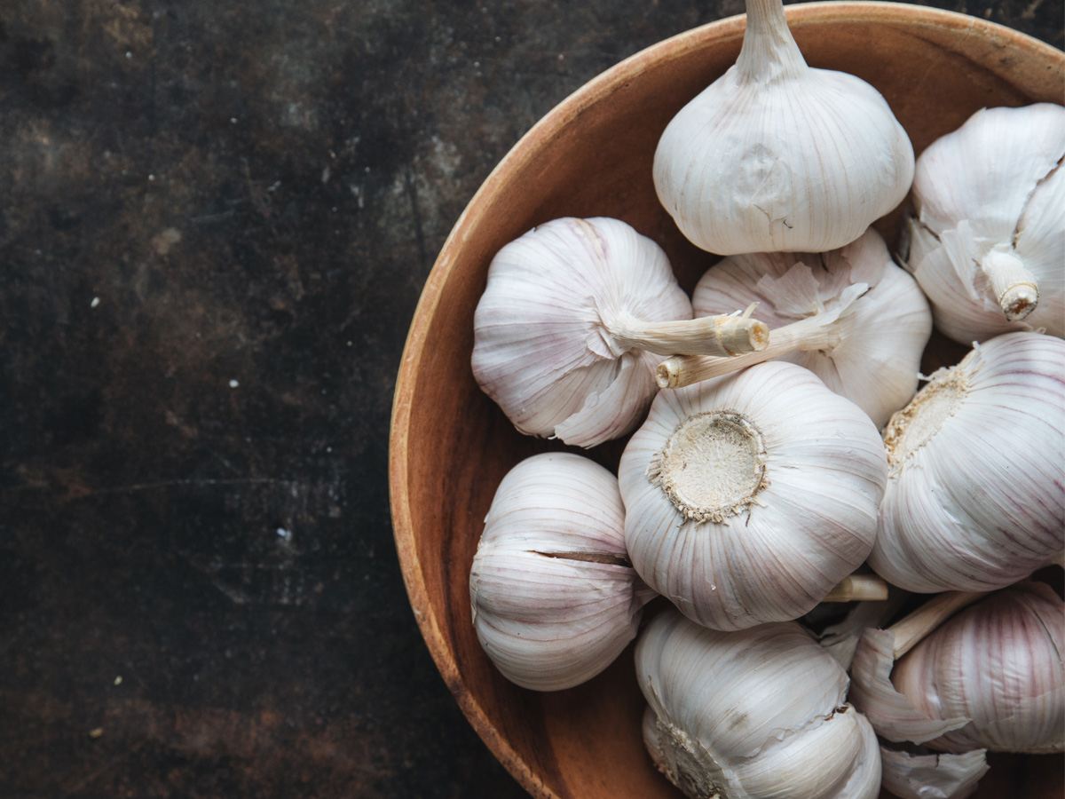 Garlic