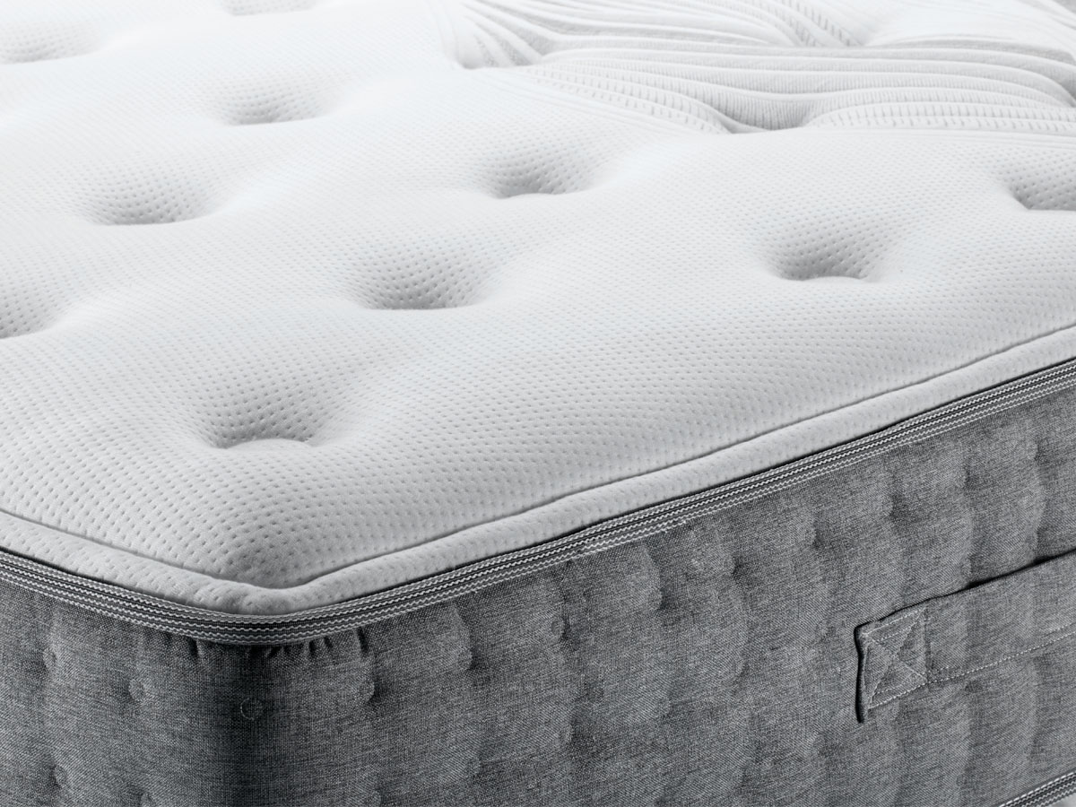 Where do bed bugs live?