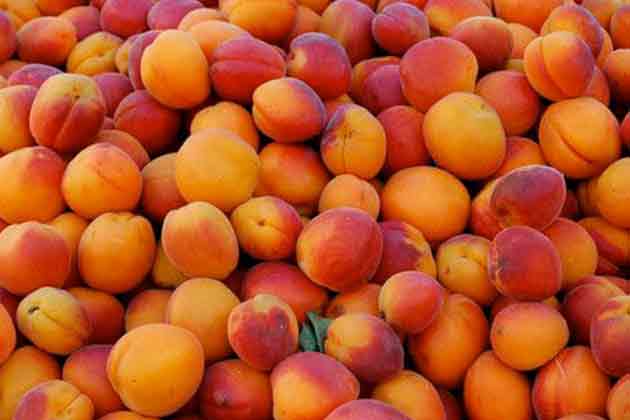 Peaches