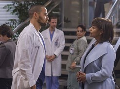 image of greys anatomy
