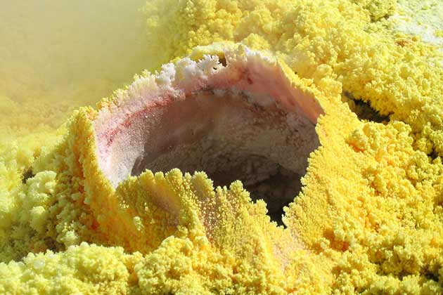Sulfur Fumigation