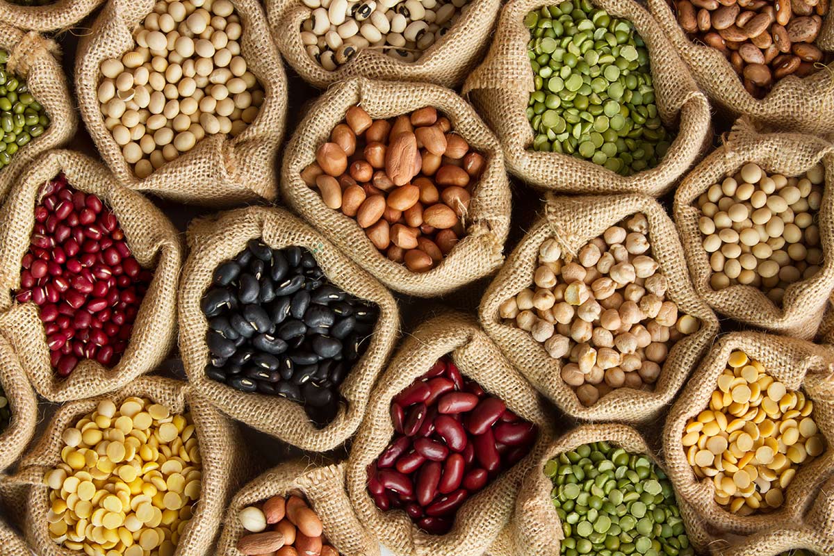 Dry Beans