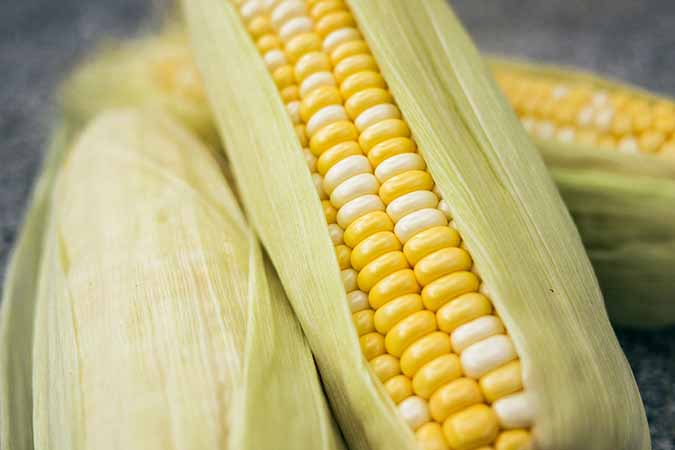 Corn