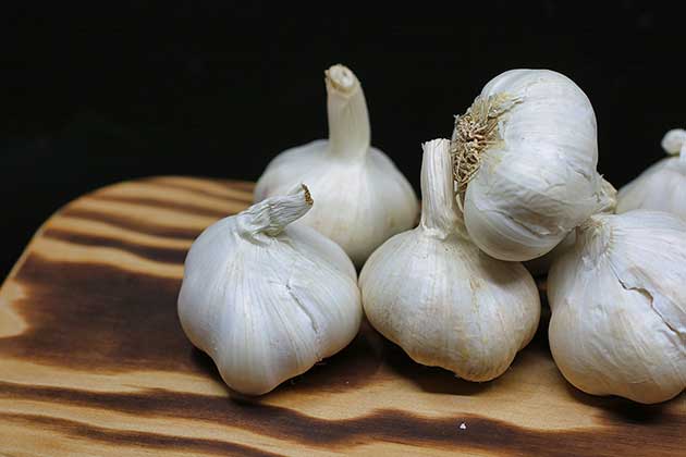 Garlic
