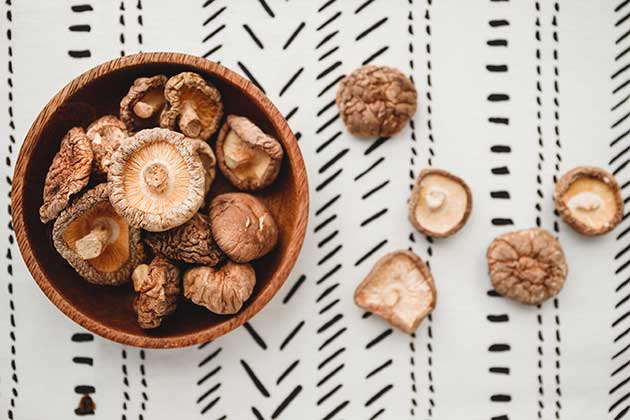 Medicinal Mushrooms