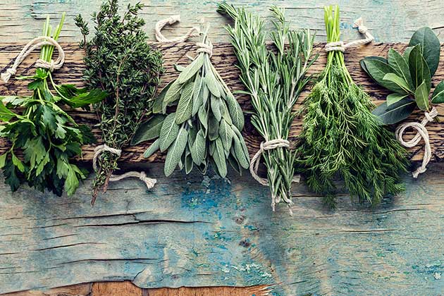 Antiviral Herbs