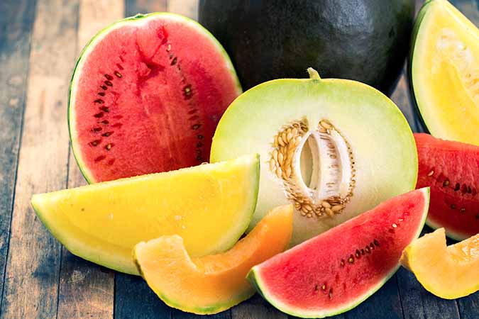 Melon