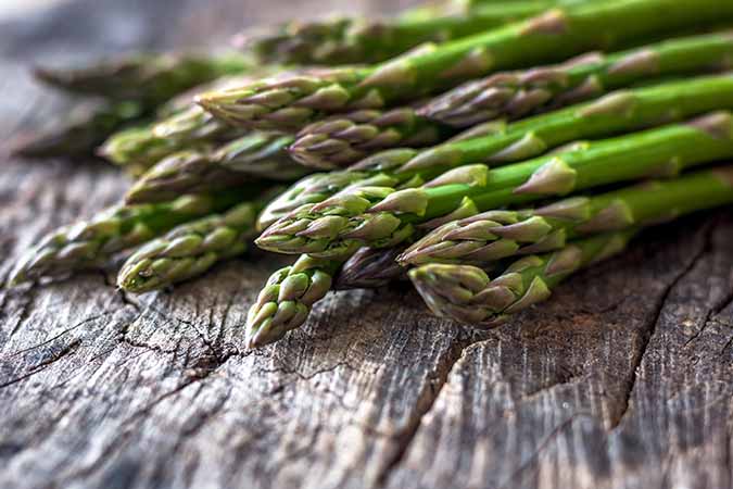 Asparagus