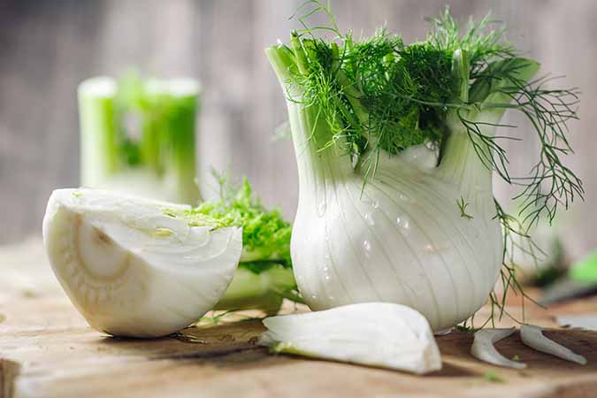 Fennel