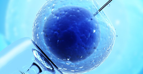 What is In Vitro Fertilization?